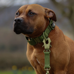 Поводок Swivel Billowthane KHAKI BullyBillows