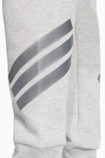 Штаны adidas Future Icons 3-Stripes - серый