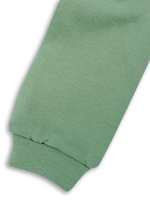 Костюм для девочек (свитшот, шорты) зелёный, р.116 (MINAKU)