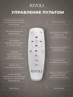 Люстра потолочная светодиодная с пультом ДУ Rivoli черно-белая 74 Вт 3000К-6000К, светильник на кухню, в детскую, в спальню