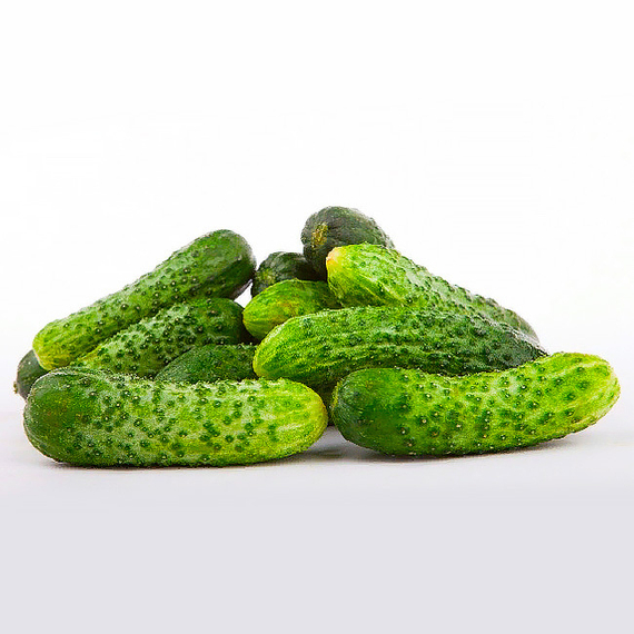 Герман_F1_семена_огурца_партенокарпического_Seminis_семена – фото 3