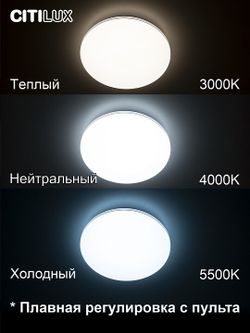 Накладной светильник Citilux Симпла CL714330G