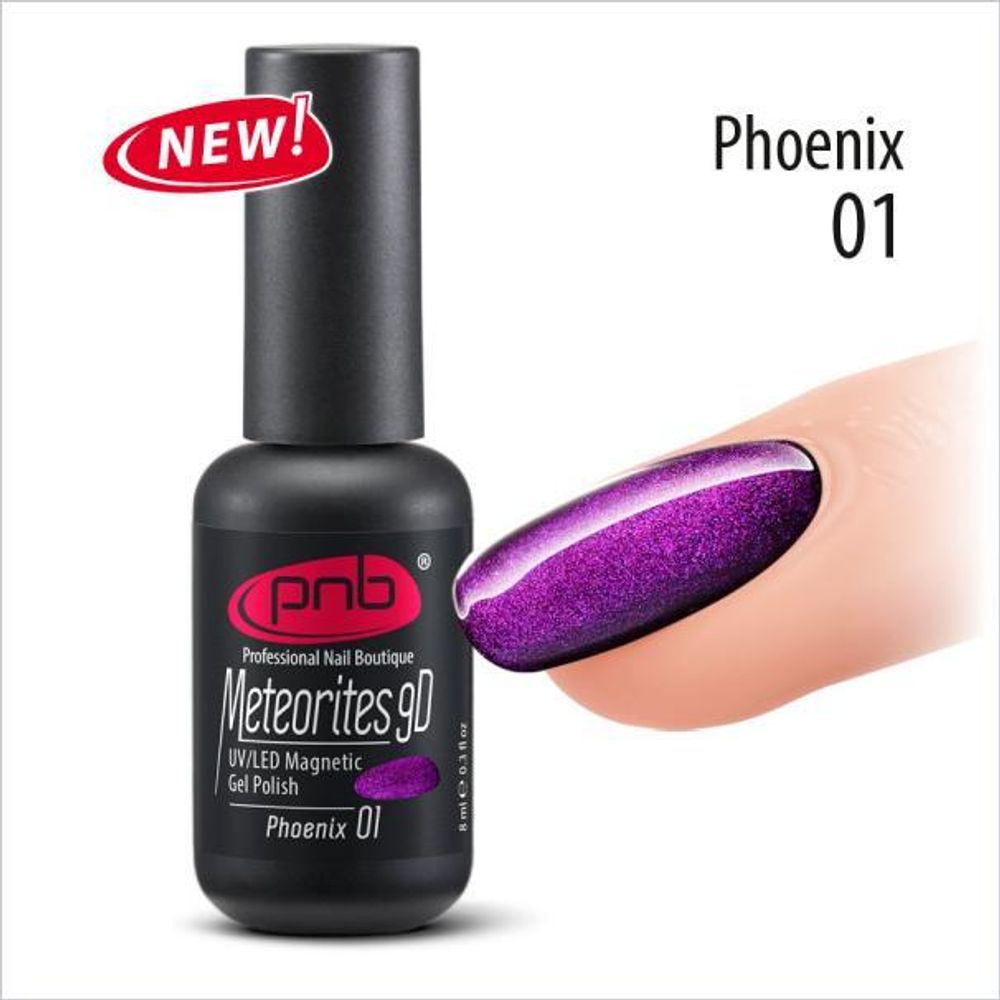 Гель-лак PNB магнитный Метеориты 9D №01 Magnetic Gel Polish Meteorites 8мл UV/LED