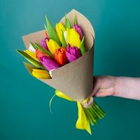 Bouquet of 15 tulips