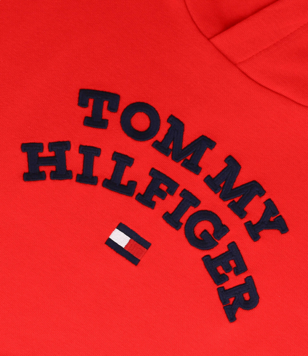 Худые Tommy Hilfiger - красный(KB0KB08490)