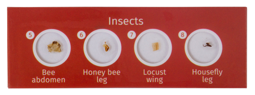 Набор микропрепаратов Levenhuk LabZZ CP24, существа и растения