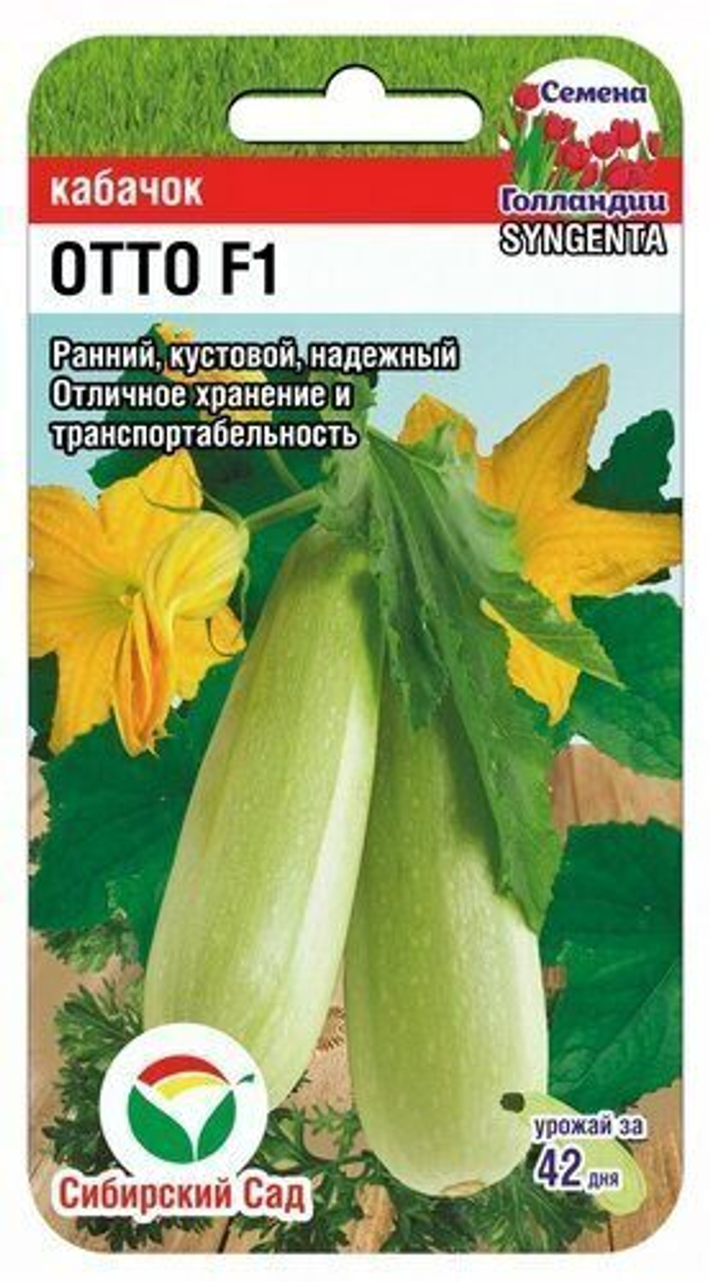 Кабачок Отто 3шт Сибсад