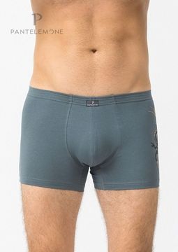Трусы мужские боксеры Pantelemone PMH-1349, серо-зеленый