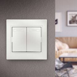 Выключатель Intro Plano 1-104-06 двухклавишный, 10А-250В, IP20, СУ, перламутр