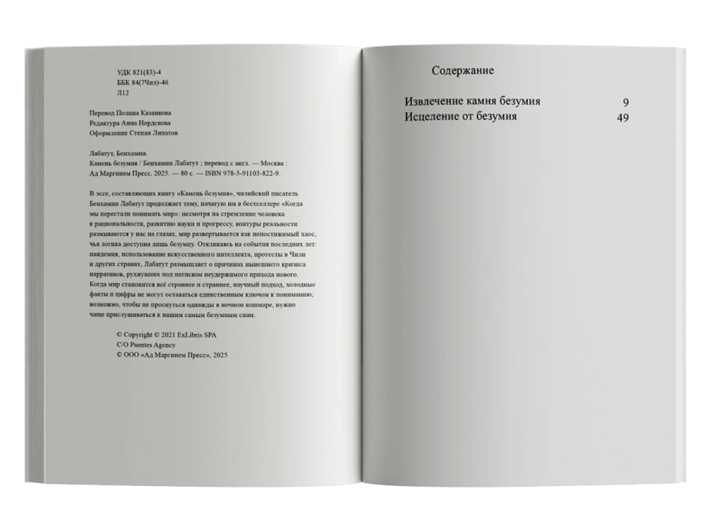 Камень безумия