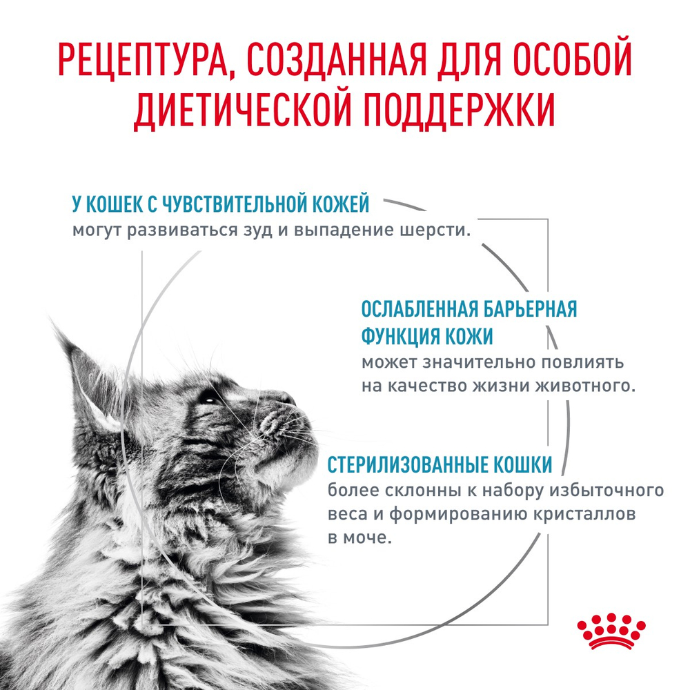 Royal Canin Skin & Coat Скин энд Коат Корм сухой диета для кошек поддержание здоровья кожи и шерсти 1,5кг