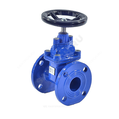 Задвижка чугун 30ч39р аналог МЗВ обрезиненный клин EPDM гайка чугун, шток сталь Ду 150 Ру16 фл RMCX