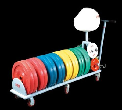 Стойка для дисков тренировочная DHS