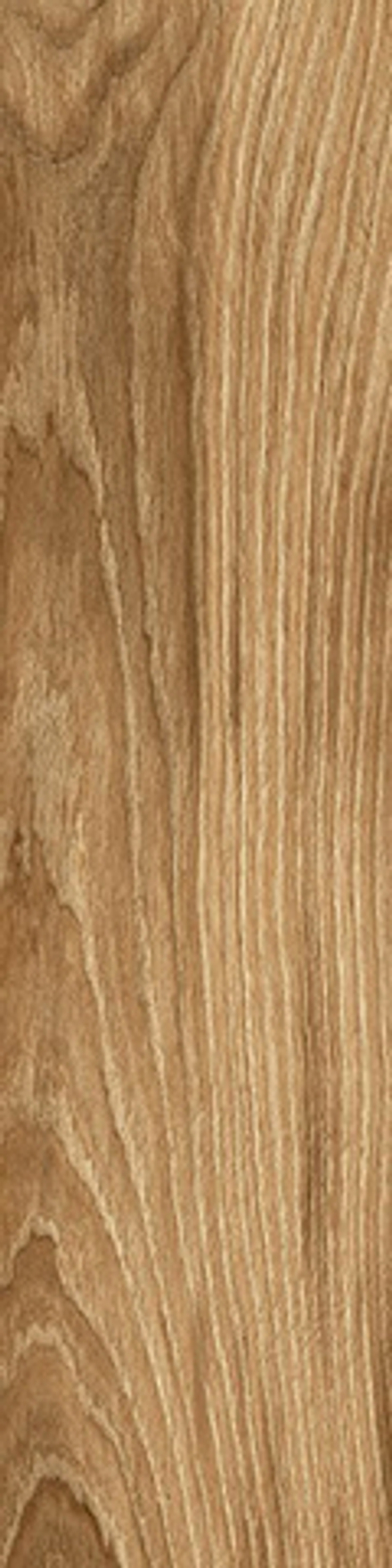 Керамогранит Polo Brandy Бежевый (K952687R0001LPET)