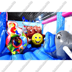 Коммерческий надувной батут "Яркий цирк" 6*4*3 м