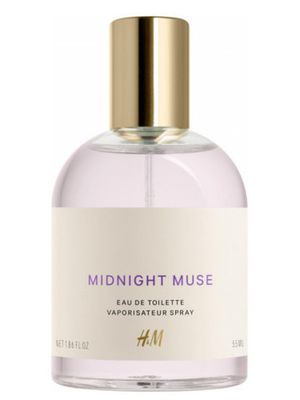 H and M Midnight Muse