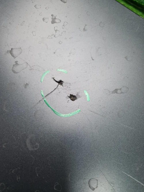 Спойлер крышки багажника Geely Monjaro (2021-н.в.)