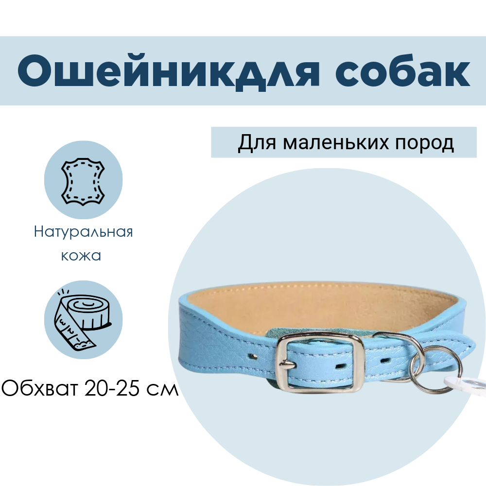 Ошейник Mr.Kranch для собак из натуральной кожи прямой 20-25 см бирюзовый