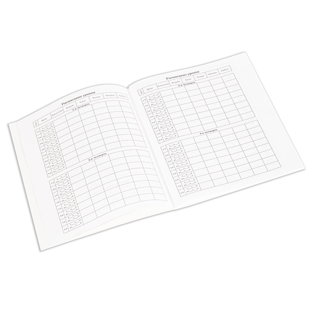 Дневник школьный Alingar 1-11 кл., 40 л., скрепка, мелованный картон, "Классика"