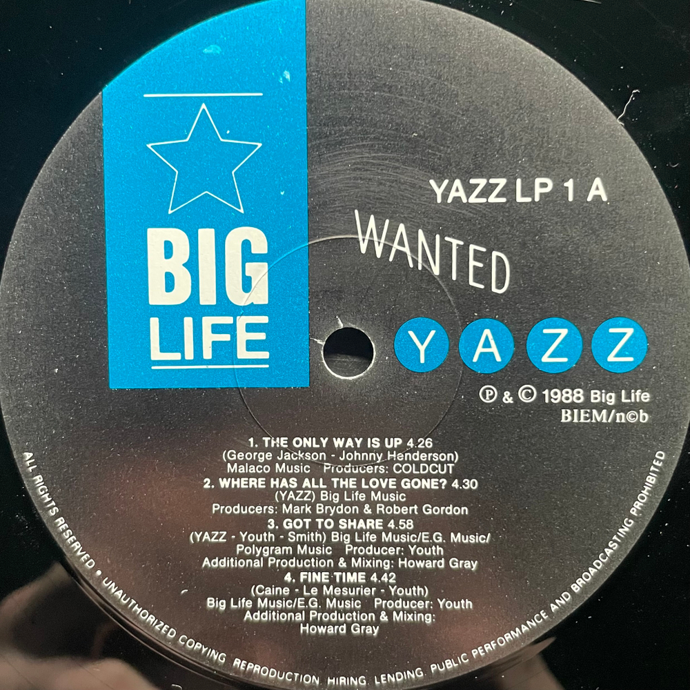Yazz ‎– Wanted (Скандинавия 1988г.)