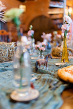 Horse Party