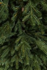 Искусственная ель «Берген» (Литая хвоя) 150 см / 1.5 м