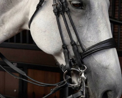 Оголовье мундштучное c дутыми ремнями