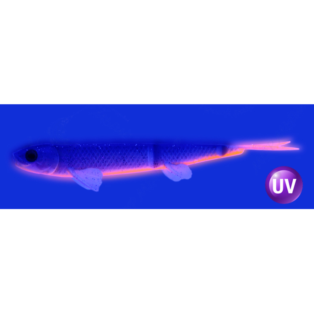 Слаг силиконовый Vido Craft Sebastian (17см / 7"), 2шт