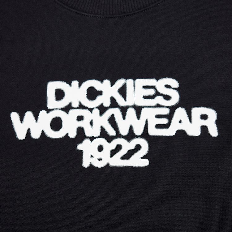 Толстовка Dickies Torrey Sweatshirt артикул:DK0A88BSBLK1 - купить в магазине Дайс