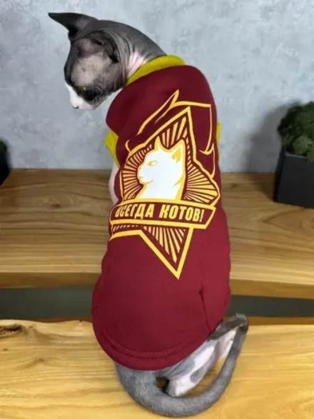 Одежда для сфинксов