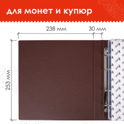 Альбом нумизмата для 380 монет (диаметр до 38 мм) и купюр, 253х238 мм, коричневый, ОСТРОВ СОКРОВИЩ, 237961