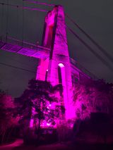 Strobe THUNDER P60 — LED стробоскоп 900 Вт RGBW IP65