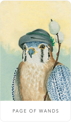 White Sage Tarot in a Tin / Таро Белых Сов в жестяной коробке