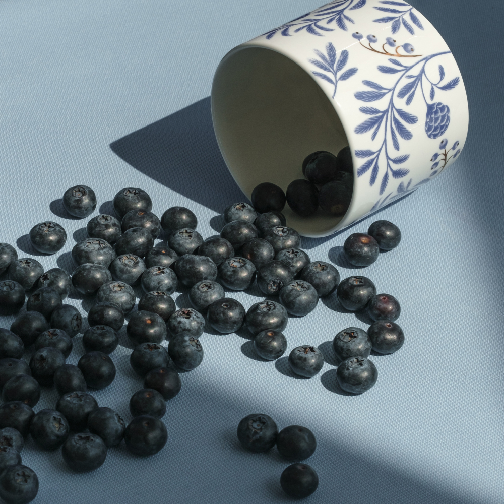 Емкость для хранения Farforite «Голубые ели» в подарочном тубусе