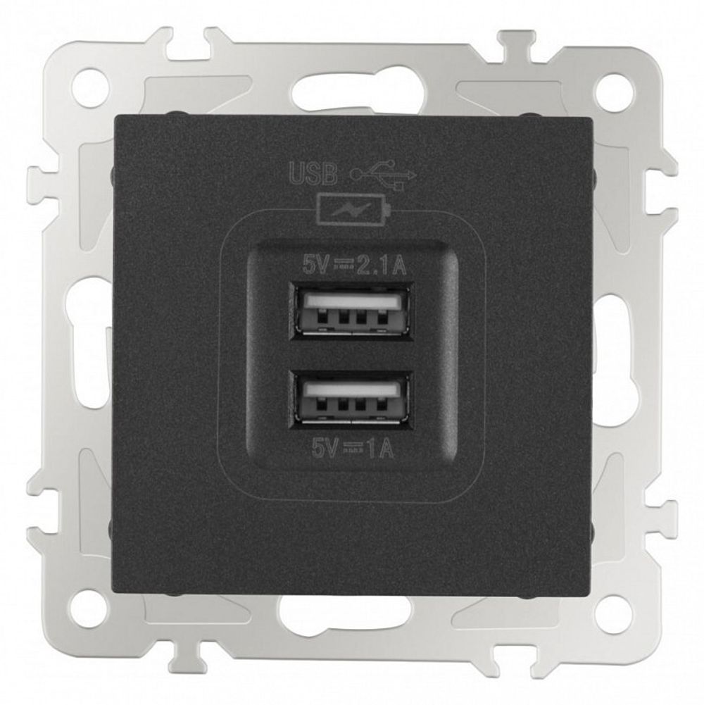 Розетка USB, без рамки Arte Milano am-206 206.46-1.black