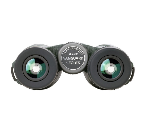 Бинокль Vanguard VEO ED 8x42