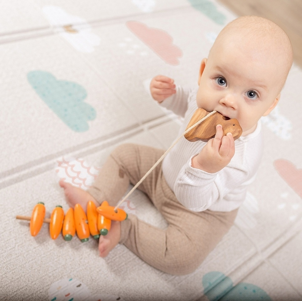 Шнуровка "Зайкины морковки", Леснушки