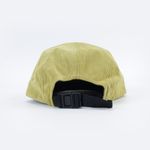 Кепка Anteater 5Panel (velvet-olive)