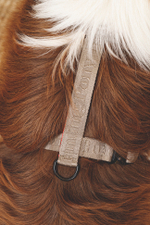 Шлейка "Пони-Компаньони" Серый