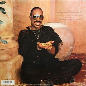 Stevie Wonder / In Square Circle (LP)
