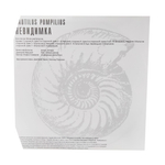Nautilus Pompilius / Невидимка (LP)
