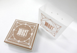 Альбом BEAST - MIDNIGHT SUN LIMITED Edition