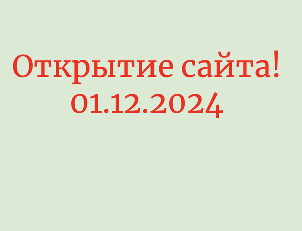 Мы открыли сайт!