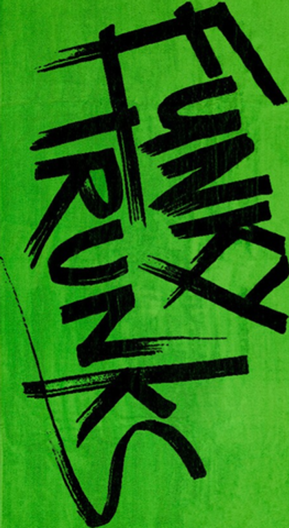 Хлопковое полотенце FUNKY TRUNKS Tagged Green