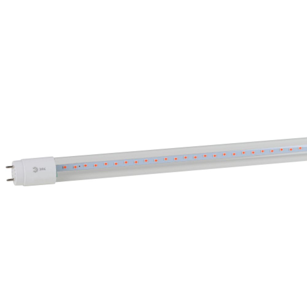 Фитолампа для растений светодиодная ЭРА FITO-18W-RB-Т8-G13-NL и мясных прилавков 18 Вт Т8 G13 красно-синего спектра | Фитолампы T8