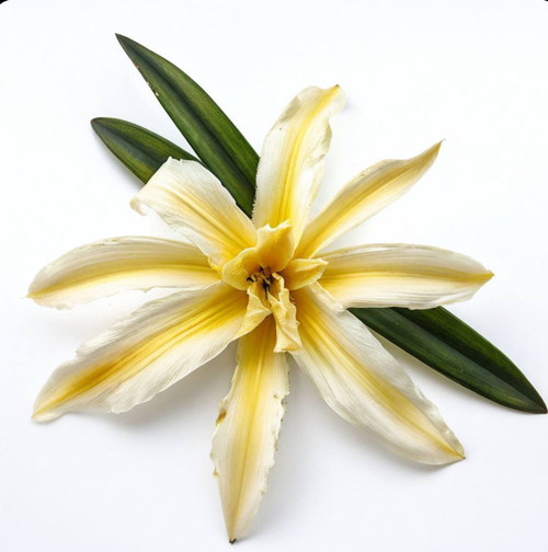 Сироп Ваниль