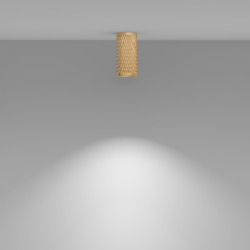 Потолочный светильник Technical C036CL-01G