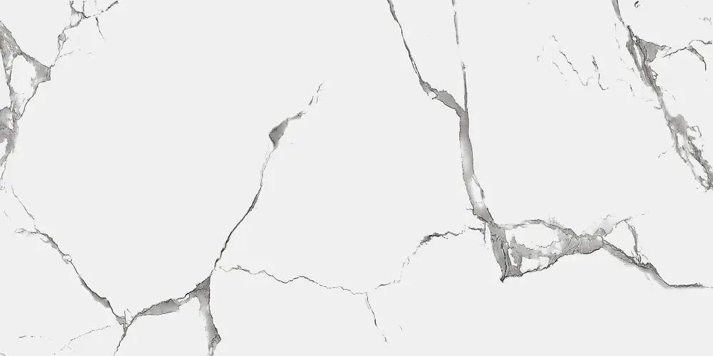 Керамогранит Royce Evon Statuario Matt 60x120 см (R_NR2003)