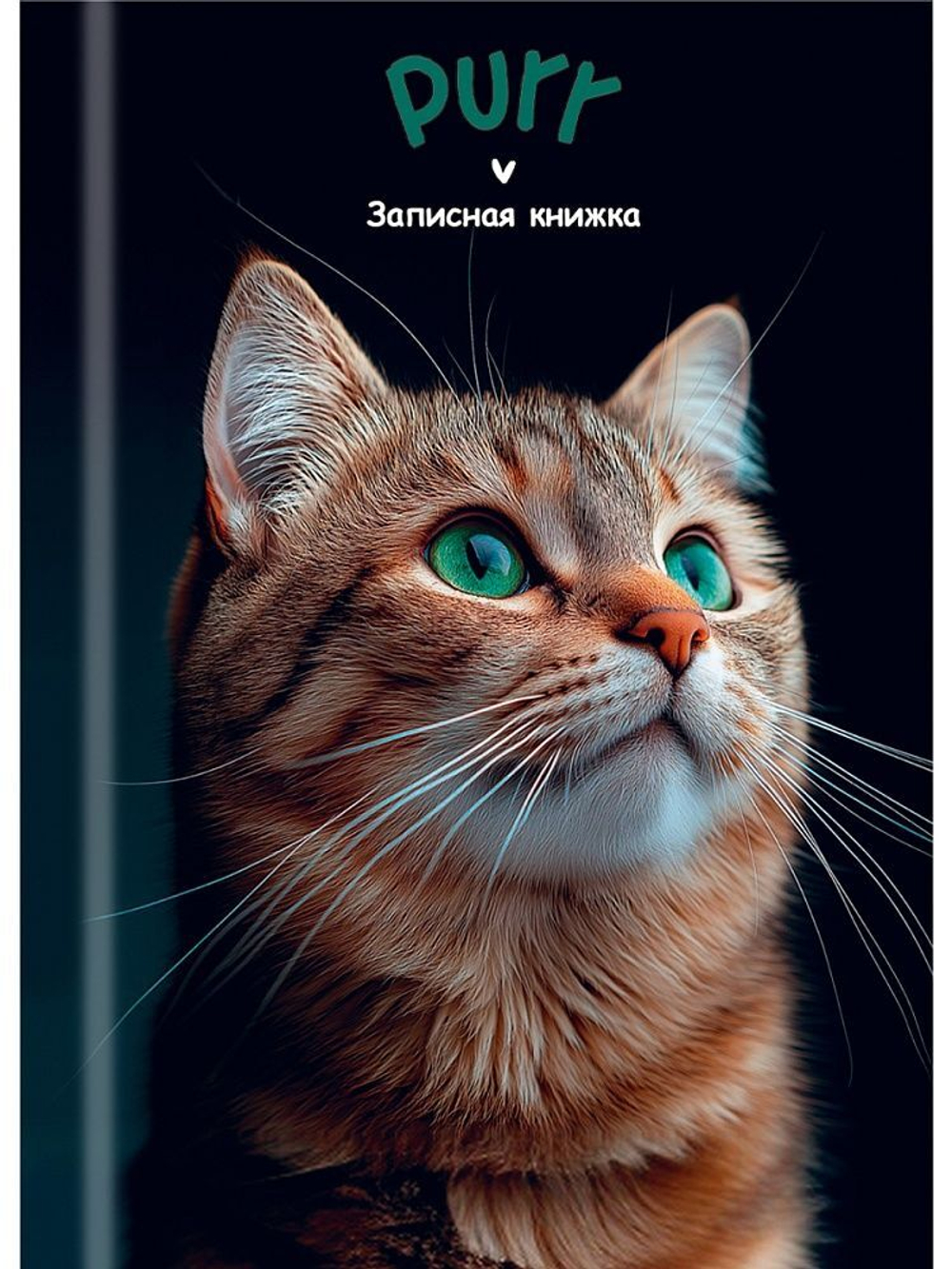 Блокнот А7 7БЦ 48л "Зеленоглазый котик - 1" клетка, глянц.лам.