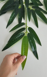 Бамбук крупный / Арт 1023